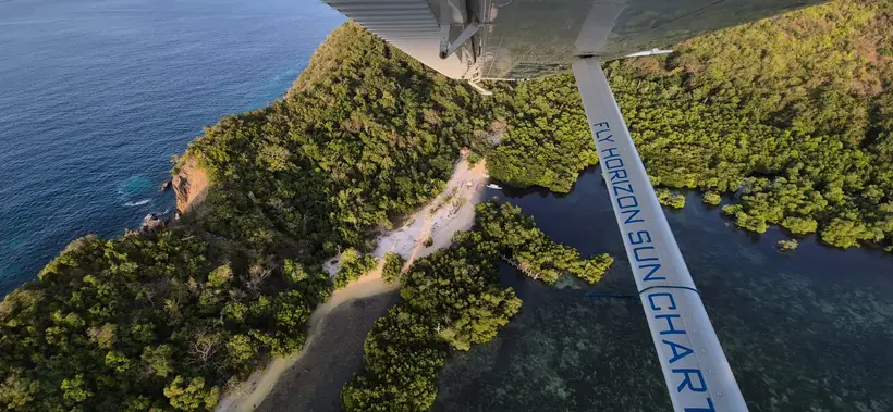 Mangroves and forest along a coastline, seen past the wing strut
